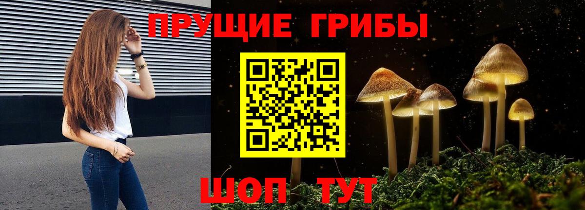 Дербент  Псилоцибиновые грибы мухоморы  цена наркотик  Вход с VPN 